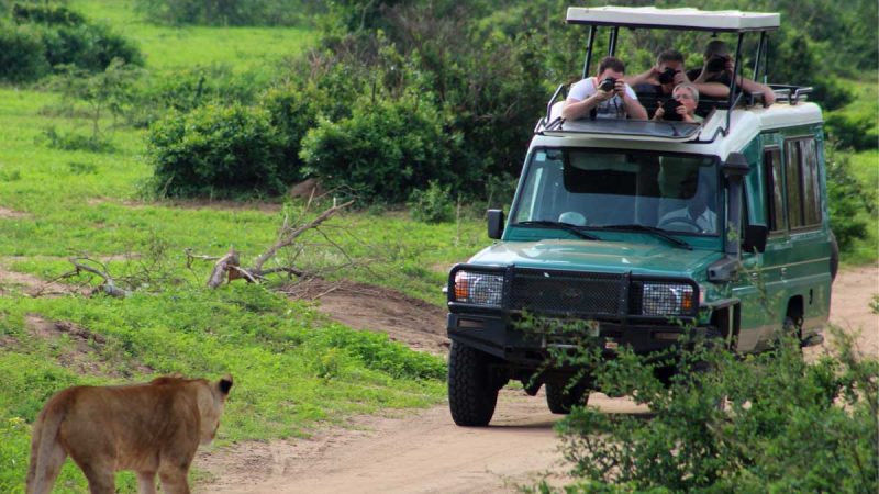 Why opt for a safari vehicle for adventurous safari in East Africa