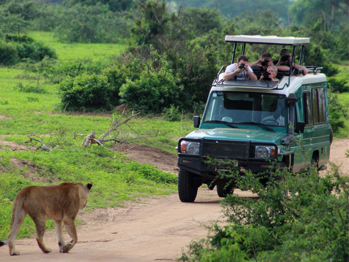 Why opt for a safari vehicle for adventurous safari in East Africa