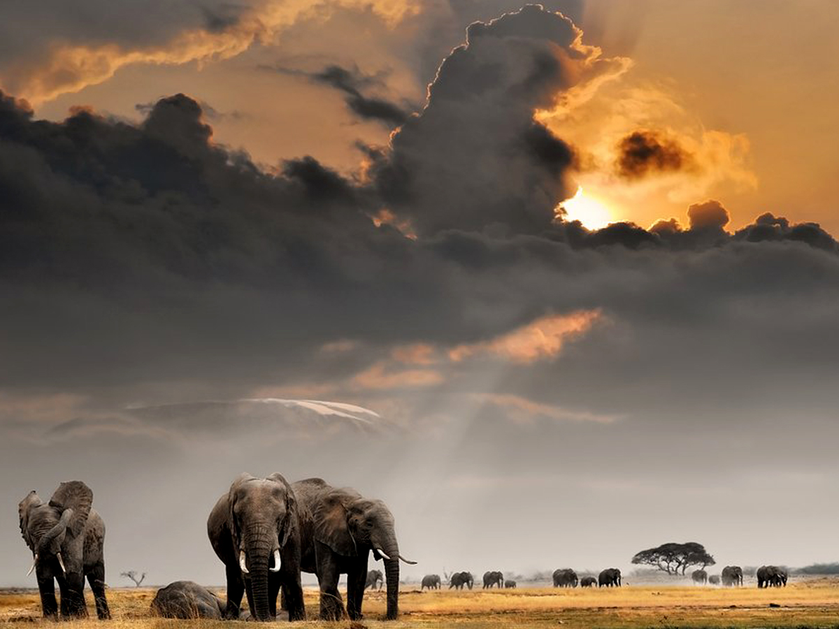 Best tourist or safari destinations in East African