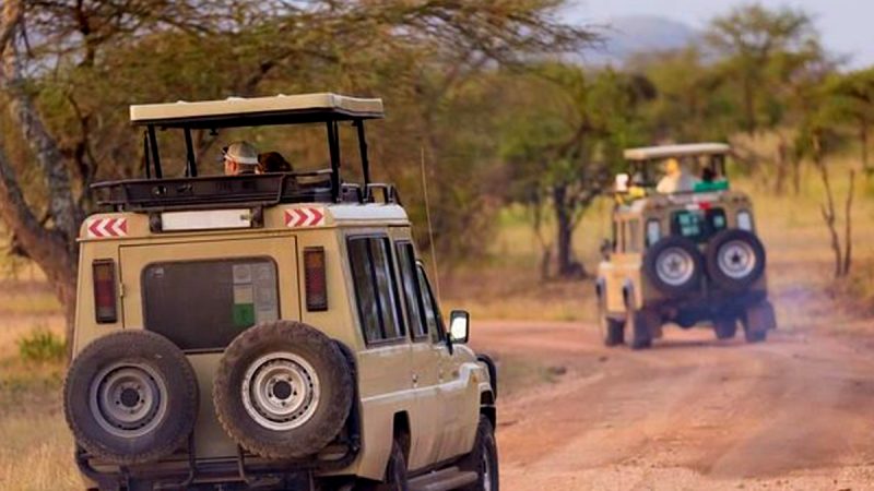 Top Visited National Parks in East Africa, Safari destinations