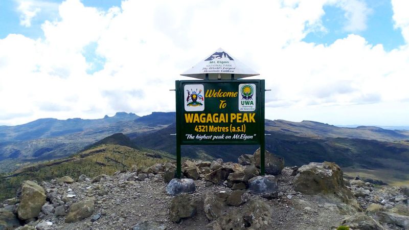 mountain-climbing-in-mountain-elgon-national-park