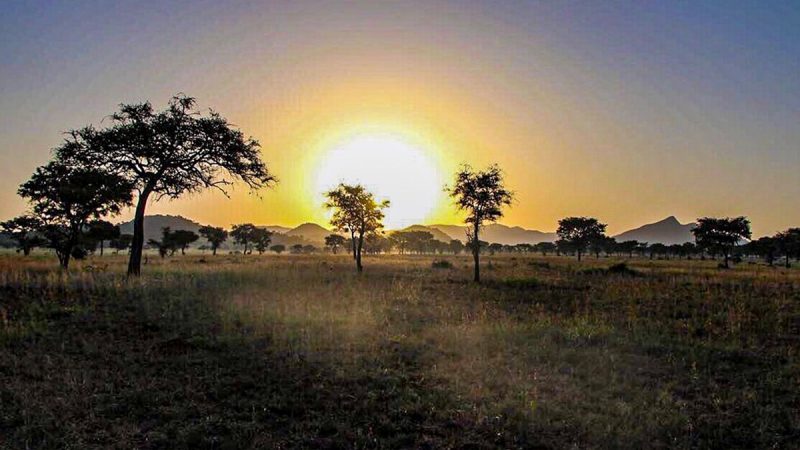 savannah-landscapes-of-kidepo-valley-national-park