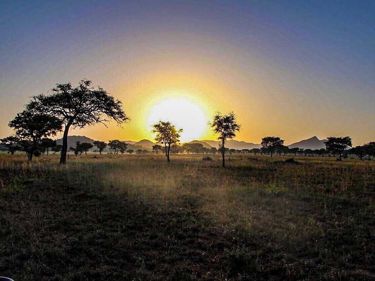 Kidepo Valley National Park – True African Wilderness