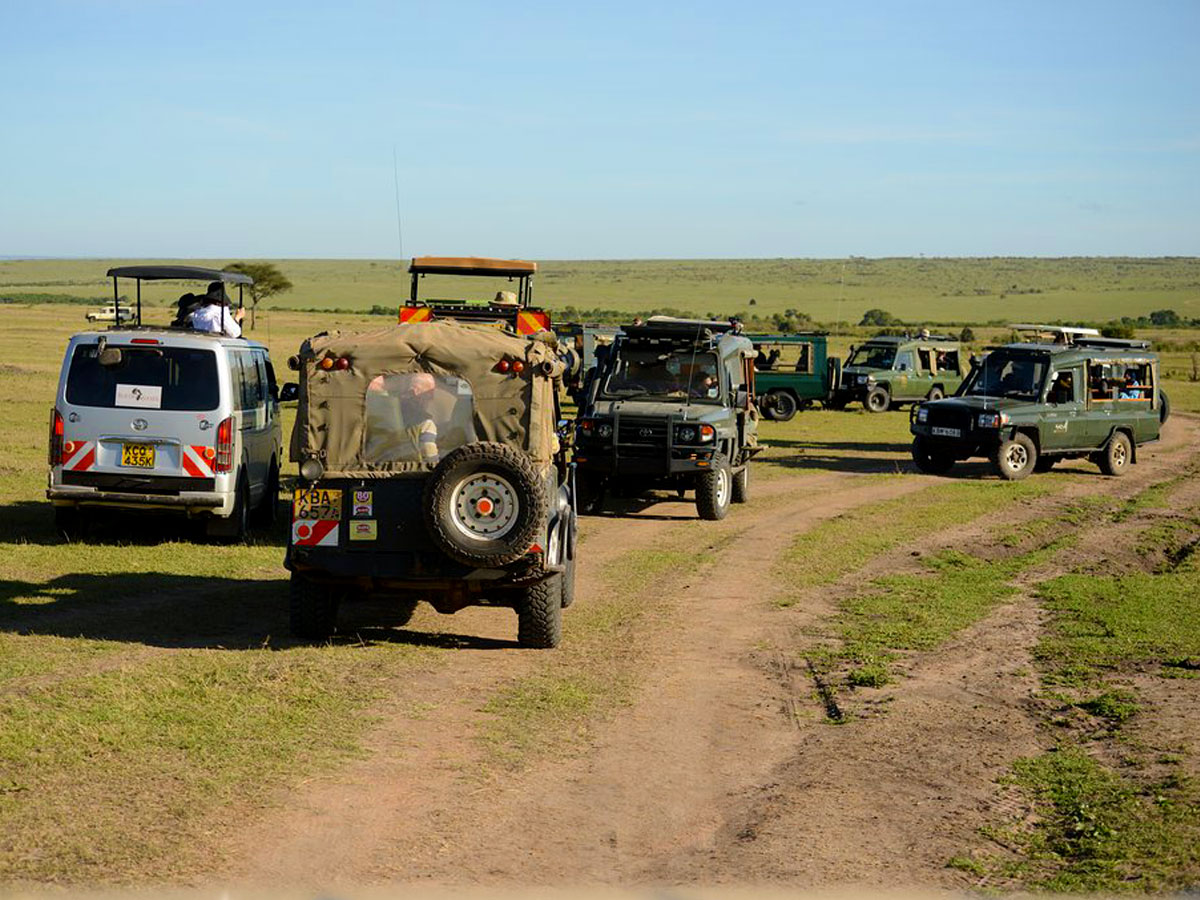 Best Tour Operators and Travel Companies in East Africa